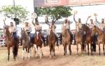 Lafaiete terá Exposição Nacional do Cavalo Campolina