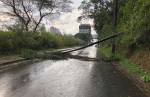 Lafaiete: Bombeiros contabilizam estragos feitos pela chuva