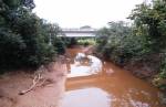 Peixes estão pulando para fora dos rios no Centro-Oeste de MG