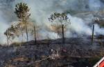 Bombeiros combatem incêndio em vegetação no bairro Gigante