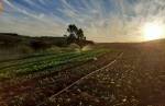 Associação dos Agricultores Familiares de Ouro Branco ganhará nova sede nesta quinta