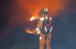 Bombeiros controlam incêndio em mata no bairro Santa Matilde