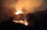 Incêndio destrói 1000 metros quadrados de vegetação no bairro Paulo VI