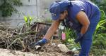 Sindijori: Dengue em Uberlândia têm salto de 430%