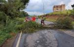 Com queda de árvores e alagamentos, chuvas causam transtornos em Lafaiete