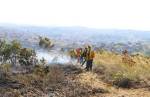 Em Minas, quase 400 brigadistas ajudam bombeiros no combate aos incêndios