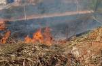 Incêndios dobram no Alto Paraopeba